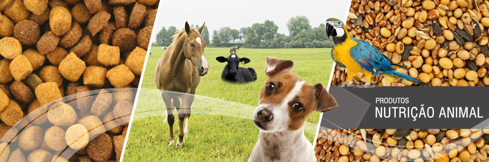 Produtos nutrição animal